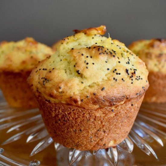 Orange and Poppy Seed Muffins