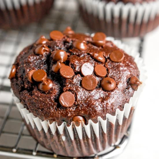 Healthy Chocolate Zucchini Muffins