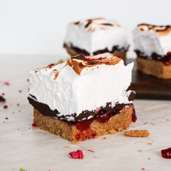 Raspberry Dark Chocolate S’mores Ba