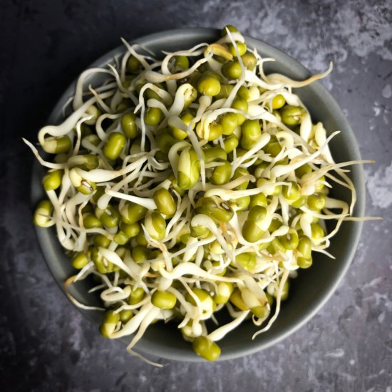 How to make green moong sprouts