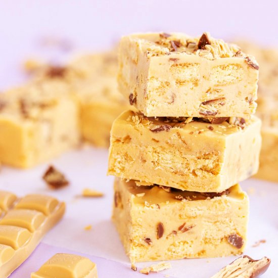 Caramilk Fudge Slice