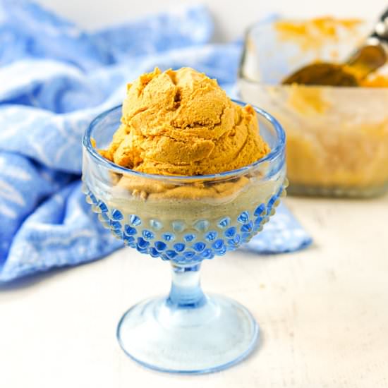 Low Carb Pumpkin Blender Ice Cream