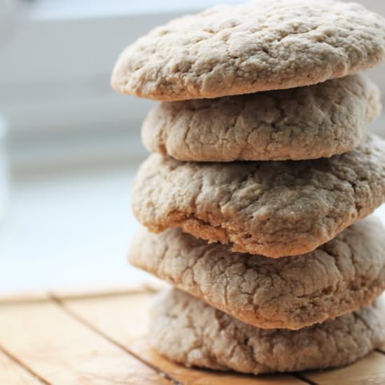 Simple Cinnamon Oat Cookies