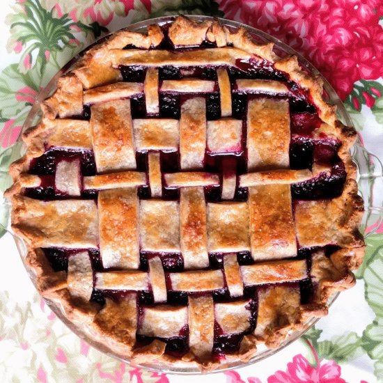 Wild Blackberry Pie