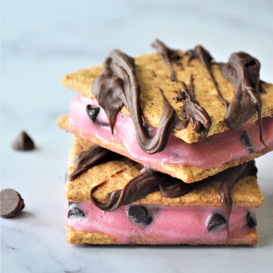 Chocolate Raspberry Sorbet Sandwich