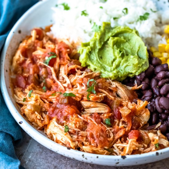 Instant Pot Salsa Chicken and Rice