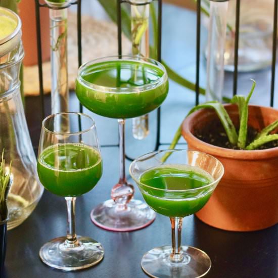 How to Make Wheatgrass Shots