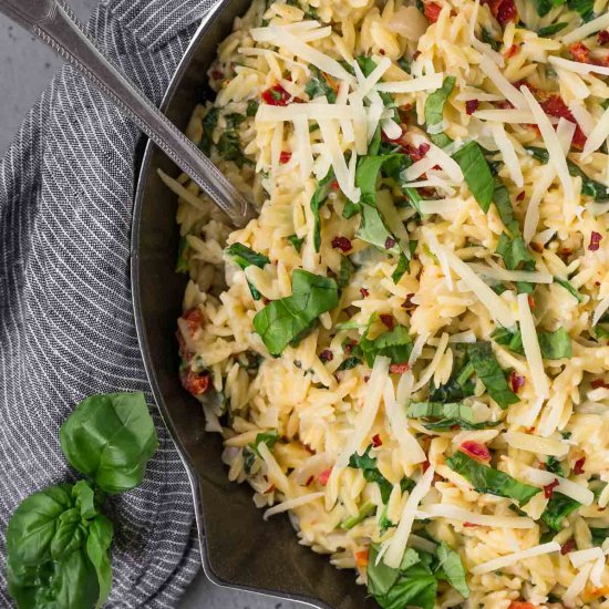 Vegetarian Orzo