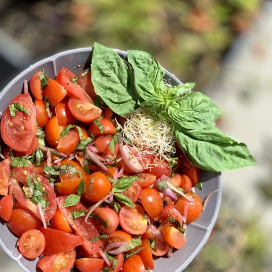 Tomato Basil Salad