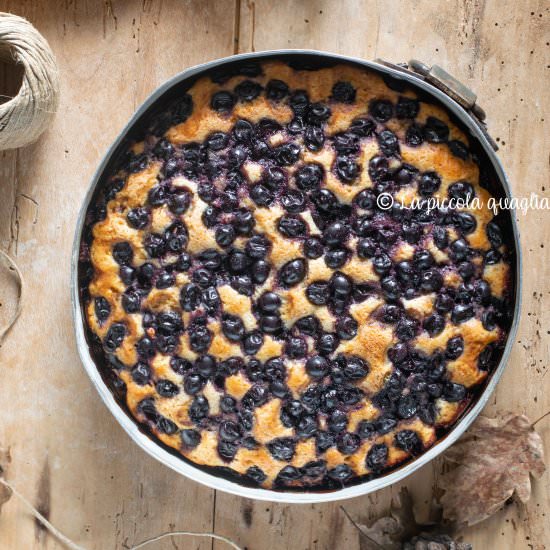 Grapes cake