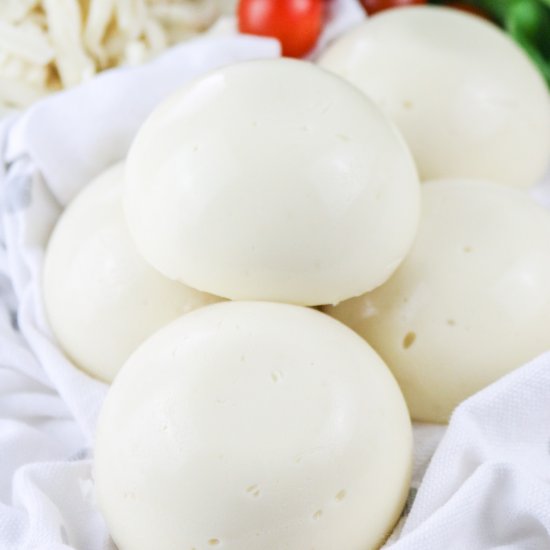 Best Vegan Homemade Mozzarella