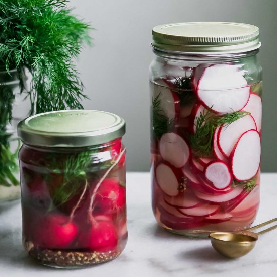 Quick Dill Pickled Radishes