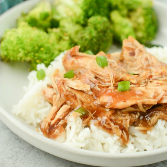 Slow Cooker Teriyaki Chicken