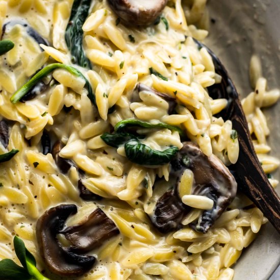 Creamy Mushroom Orzo