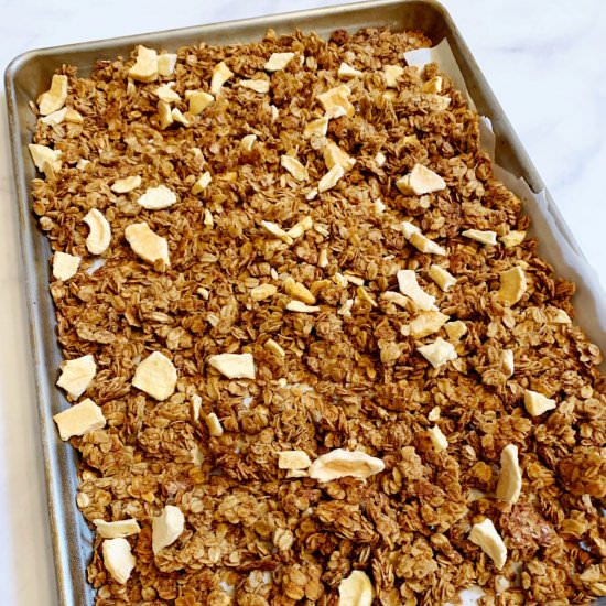 Healthy Apple Cinnamon Granola