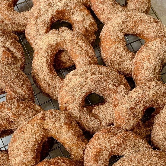 Best Cider Doughnuts