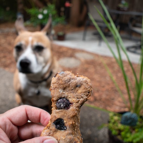 Blueberry, Peanut Butter Dog Treats