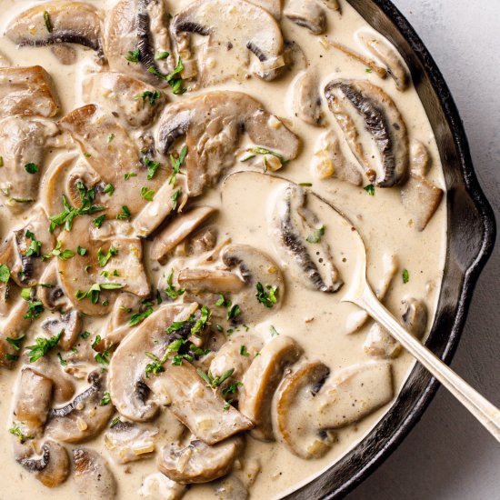 CREAMY MUSHROOM SAUCE