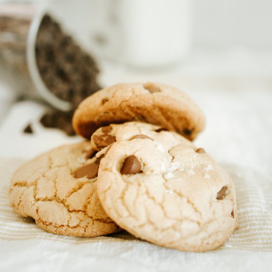 The BEST Chewy Chocolate Chip Cookies