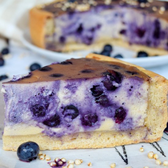 Vegan blueberry cheesecake