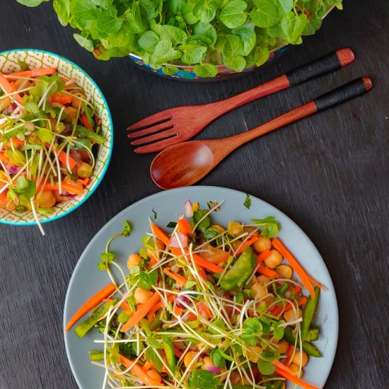 Asian Microgreens Salad