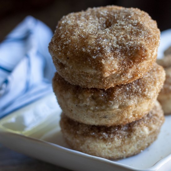 Vegan Baked Cinnamon & Sugar Donuts