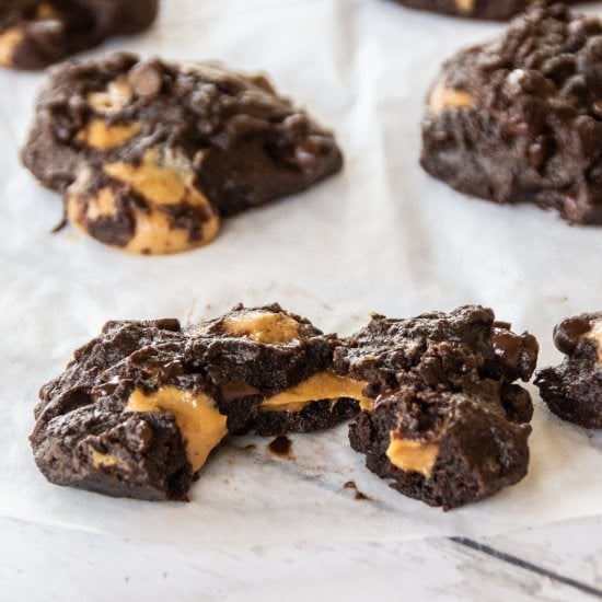 Chocolate peanut butter cookies