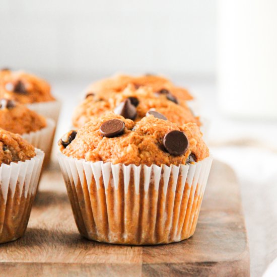 Pumpkin Chocolate Chip Muffins