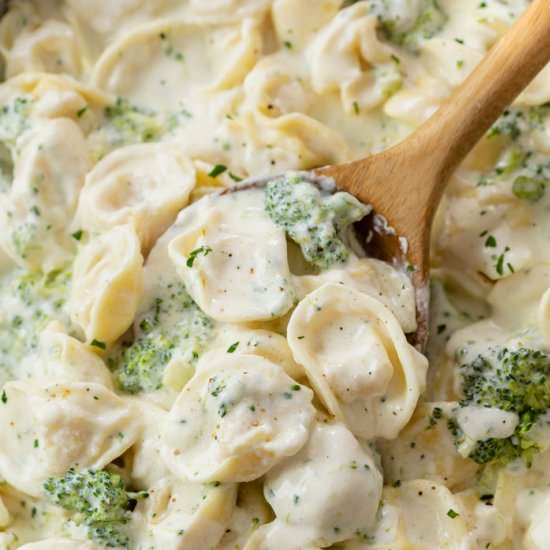 Tortellini Alfredo