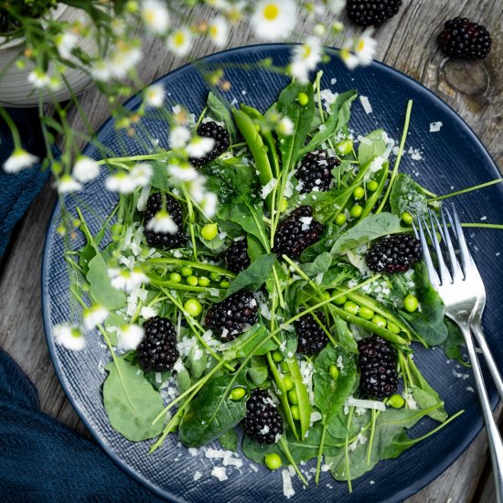 Baby Kale and Blackberry Salad