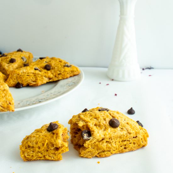 Pumpkin Chocolate Chip Scones