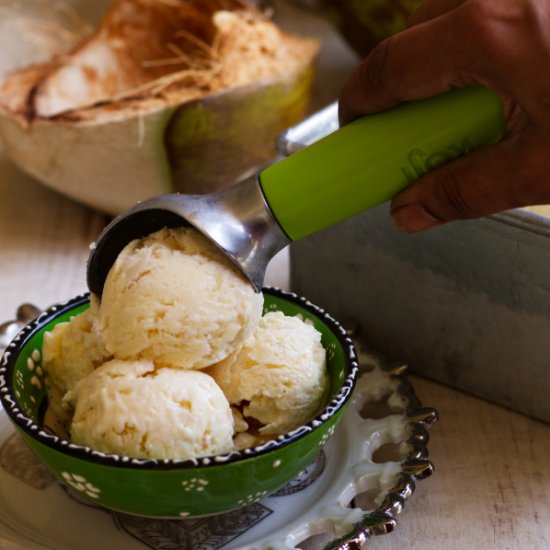 Coconut Ice cream