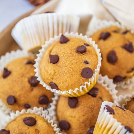 Pumpkin Chocolate Chip Muffins