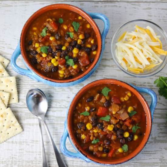 Instant Pot Lentil Black Bean Chili