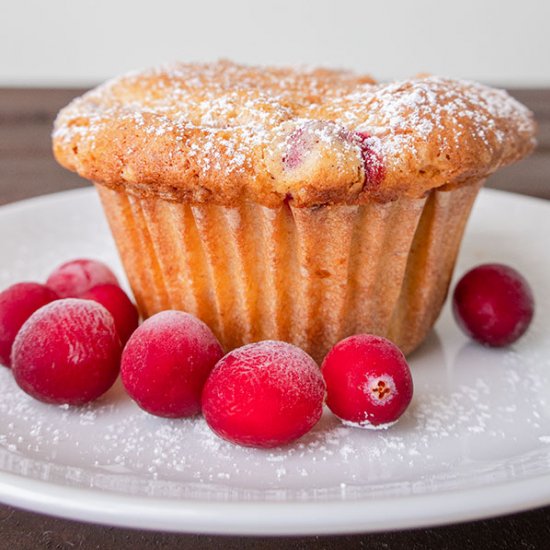 GF Low Fat Cranberry Muffins