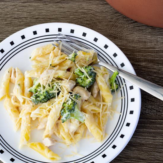 alfredo chicken pasta & broccoli