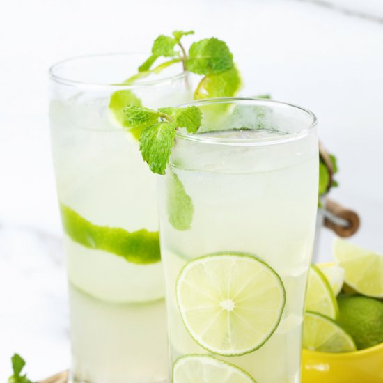 Vodka Gimlet (Vodka Lime Juice)