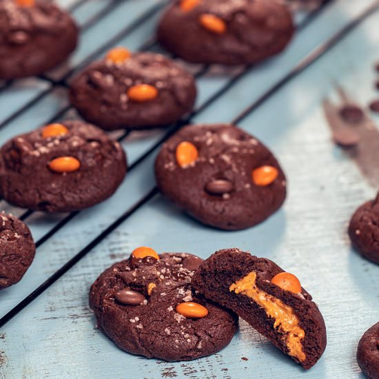 Peanut Butter Chocolate Cookies