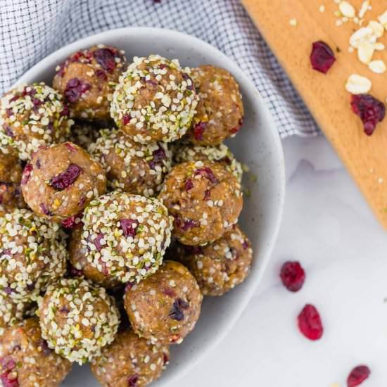 Cranberry Oatmeal Energy Balls