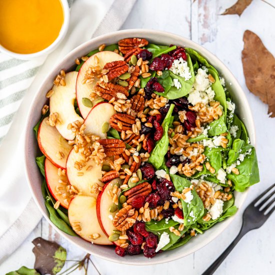 Healthy Fall Harvest Salad