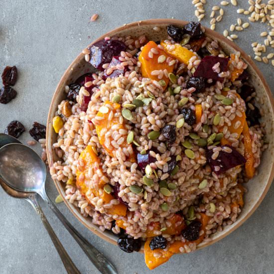 Sprouted Barley and Butternut Salad