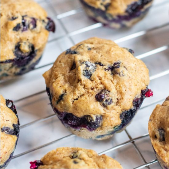 Sourdough Wheat Blueberry Muffins