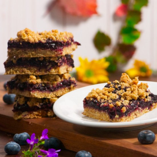 The Best Blueberry Oat Streusel Bar