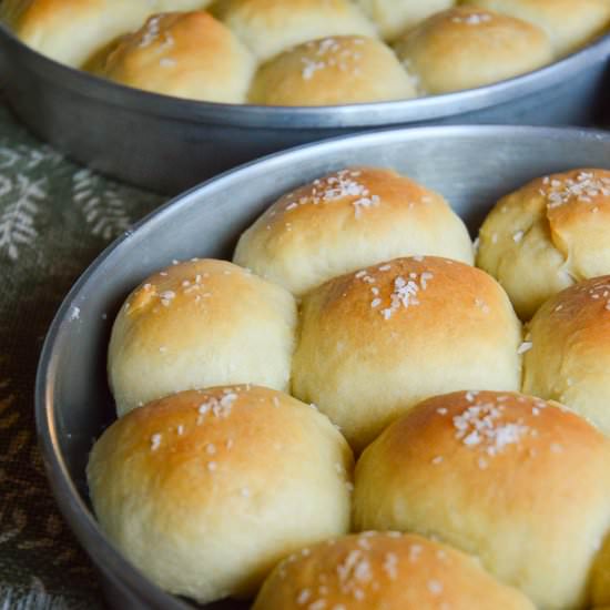 No Knead Dinner Rolls