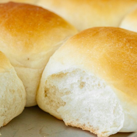 Dinner Rolls