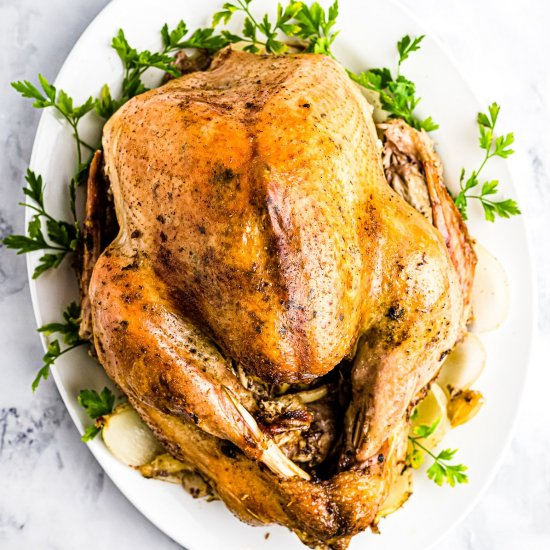 Roast Turkey