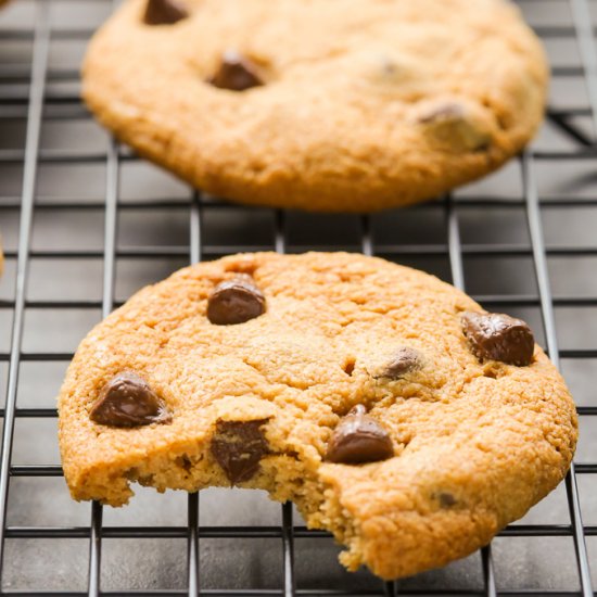 Peanut Butter Chocolate Chip Cookie