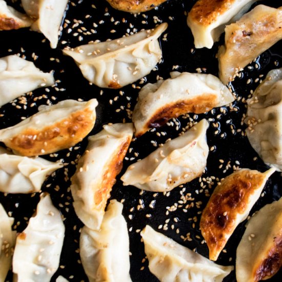 Cabbage & Mushroom Gyoza