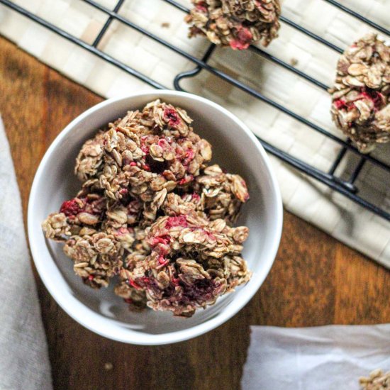 Peanut Butter Oat Raspberry Bites