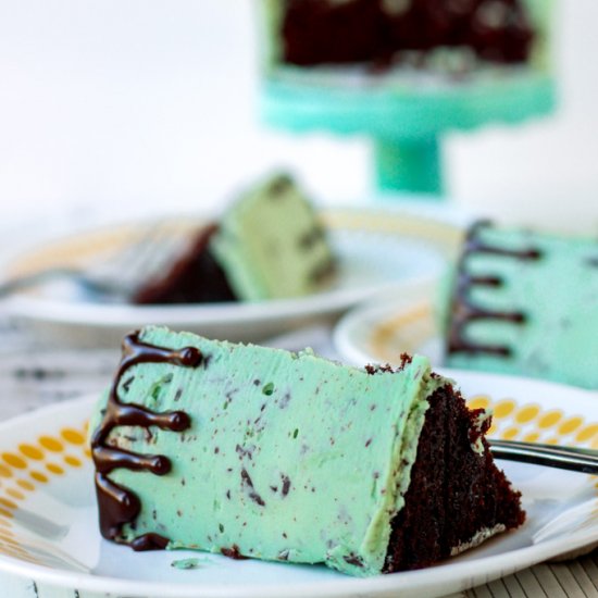 Mini Mint Chocolate Chip Cake